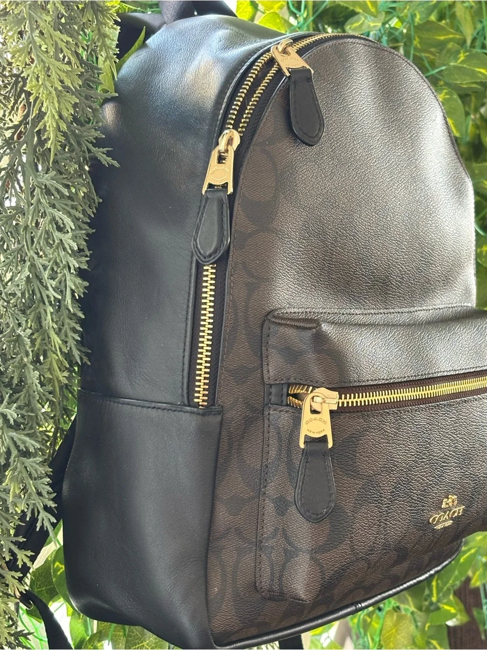 Coach Coated Canvas Signature Charlie Backpack brown canvas leather gold hardwar
